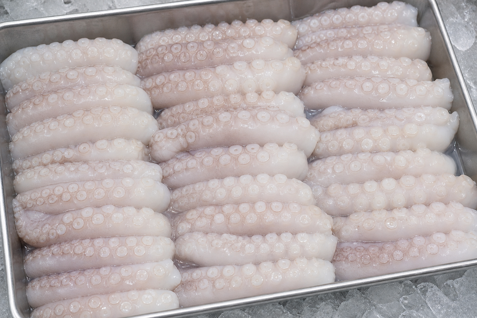 Cut Poulp Squid